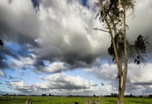 實驗室氣流控制系統說明